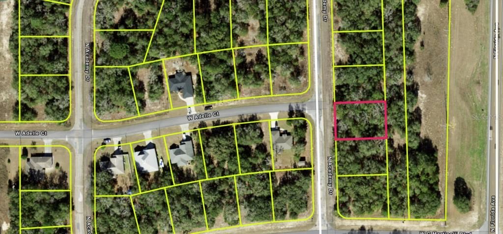 11034 N ACADEMY DRIVE, Citrus Springs, FL 34434