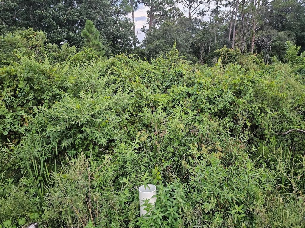 112 DRAYCOTT AVENUE, Lake Placid, FL 33852