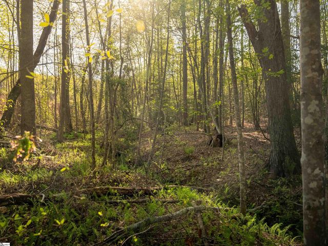 05 Hood Road Lot 5, Easley, SC 29640