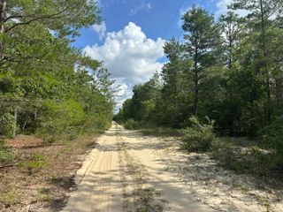 20 AC+/- Shot Gun Trail, Crestview, FL 32539