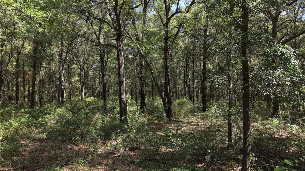 0 Redstone Drive E, Semmes, AL 36575 — photo 5
