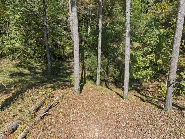 701 Hafner Rd, Charlotte, TN 37036