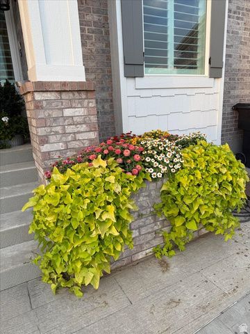 4496 COTTONWOOD DR, Pleasant View, UT 84414