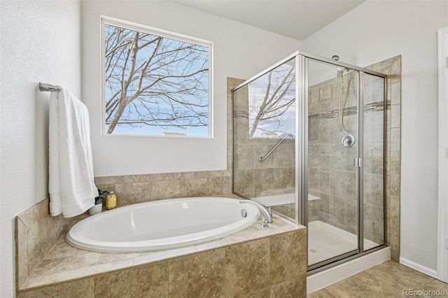 3878 Desert Ridge Circle, Castle Rock, CO 80108