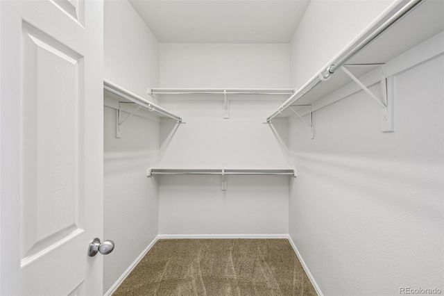 3878 Desert Ridge Circle, Castle Rock, CO 80108