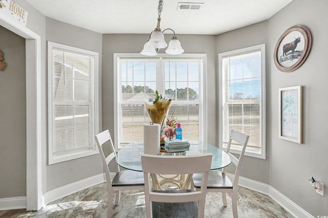 970 Eaglet Circle, Conway, SC 29527