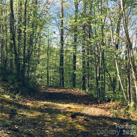 57 Fern Hill Drive, Mars Hill, NC 28754