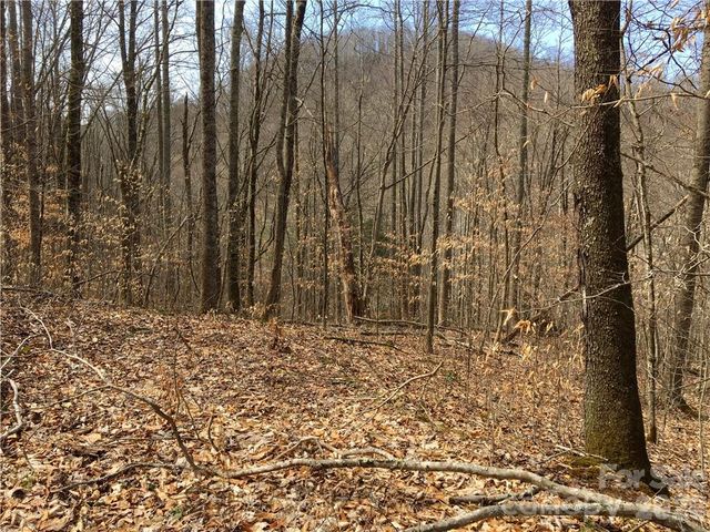 57 Fern Hill Drive, Mars Hill, NC 28754