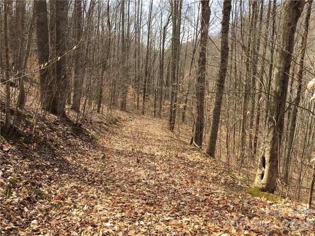 57 Fern Hill Drive, Mars Hill, NC 28754