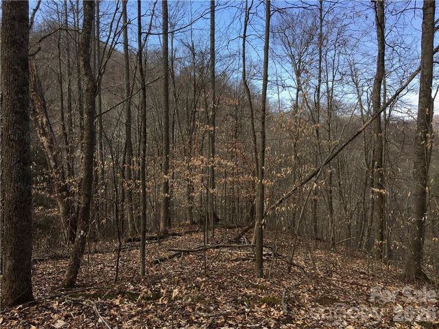 57 Fern Hill Drive, Mars Hill, NC 28754