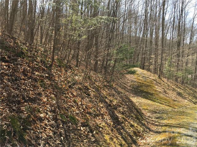 57 Fern Hill Drive, Mars Hill, NC 28754