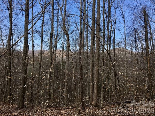 57 Fern Hill Drive, Mars Hill, NC 28754