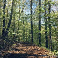 57 Fern Hill Drive, Mars Hill, NC 28754