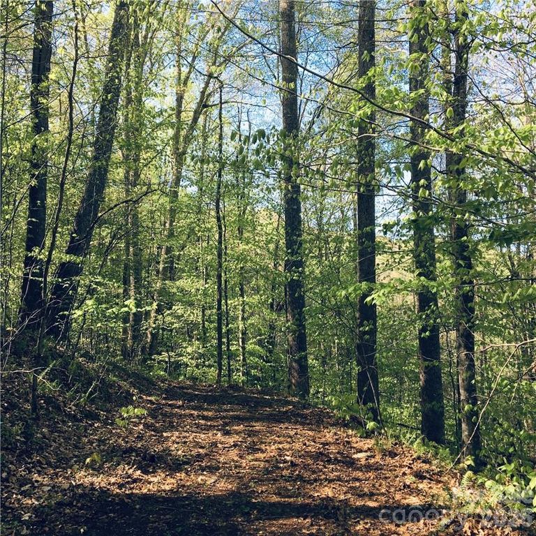 57 Fern Hill Drive, Mars Hill, NC 28754