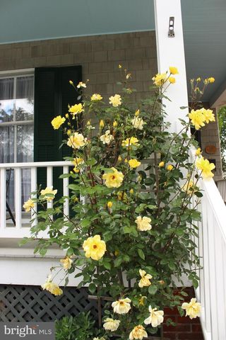 126 S COMMERCE ST, Centreville, MD 21617