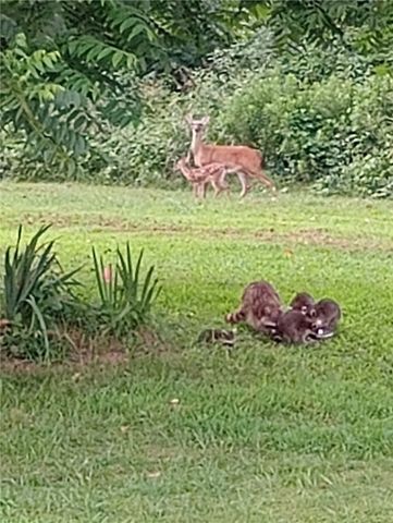 10864 Water Plant Road, Dardanelle, AR 72834