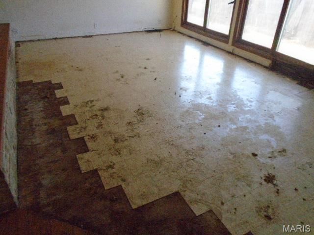 802 E Chestnut Street, Desloge, MO 63601