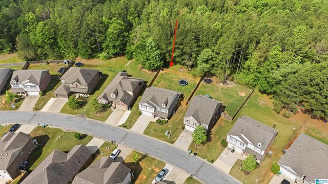 234 SARAH WAY, Kimberly, AL 35091