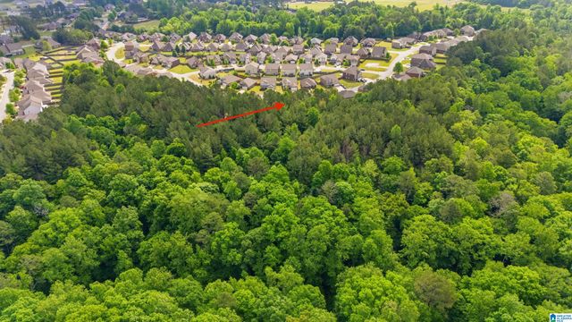 234 SARAH WAY, Kimberly, AL 35091