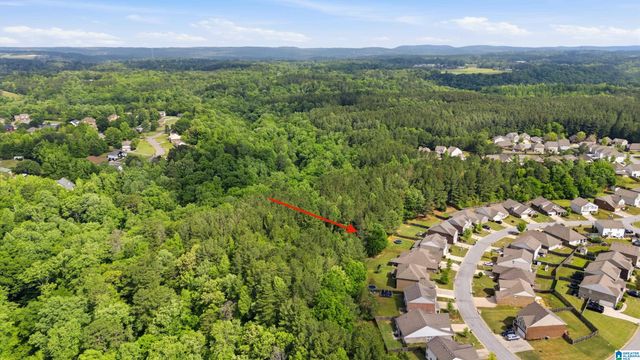 234 SARAH WAY, Kimberly, AL 35091