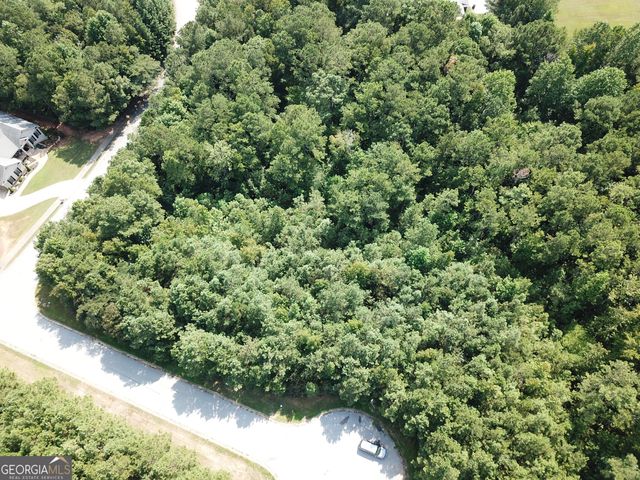 8747 Camron Drive, Winston, GA 30187