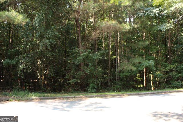 8747 Camron Drive, Winston, GA 30187