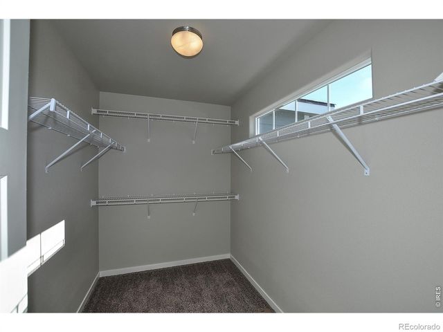 1188 Crown Sparrow Street, Johnstown, CO 80534