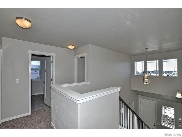 1188 Crown Sparrow Street, Johnstown, CO 80534