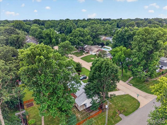 1102 Selma Avenue, Webster Groves, MO 63119