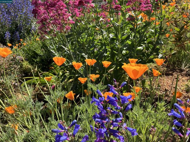 10570 Englewood Dr, Oakland, CA 94605