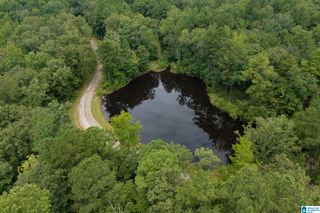 5720 BLACK CREEK DRIVE, Bessemer, AL 35022