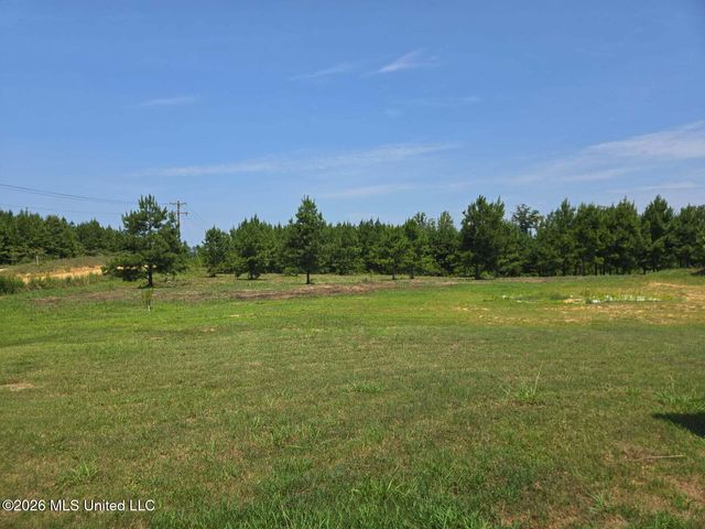 399 Stump Ridge Road, Brandon, MS 39047