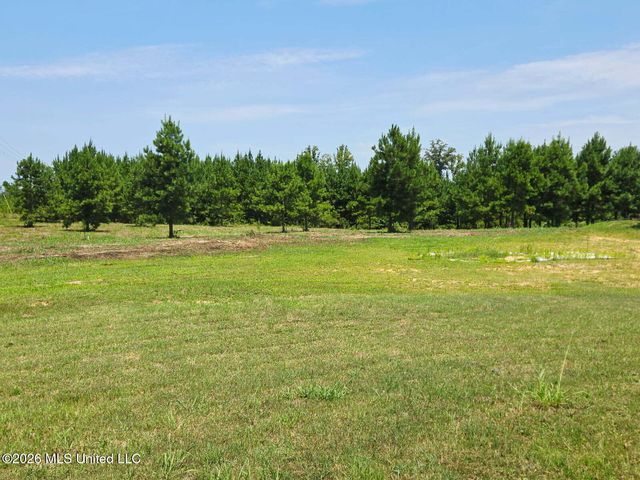 399 Stump Ridge Road, Brandon, MS 39047