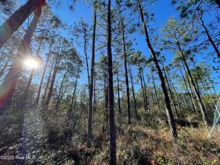 L-191 Audubon Road, Southport, NC 28461