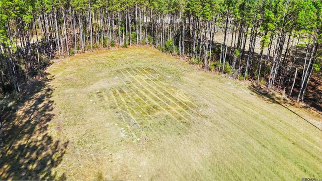 39735 Sand Hill Rd, Walker, LA 70785