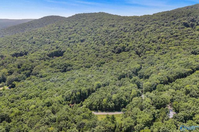 475 South Green Mountain Road, Owens Cross Roads, AL 35763