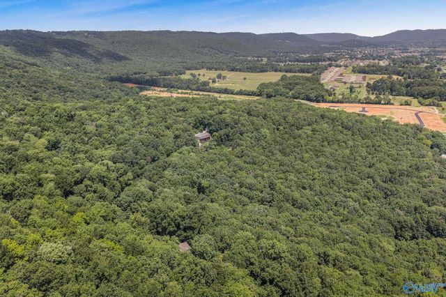 475 South Green Mountain Road, Owens Cross Roads, AL 35763