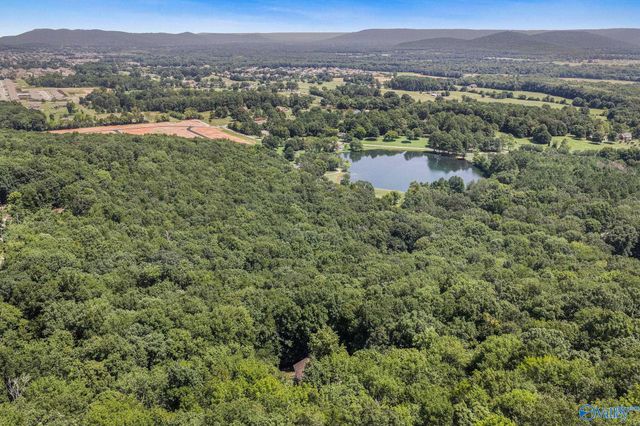 475 South Green Mountain Road, Owens Cross Roads, AL 35763
