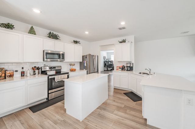 230 Autumn Sage, Princeton, TX 75407