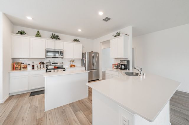 230 Autumn Sage, Princeton, TX 75407