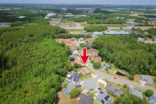 8115 MONTOCK COURT, Trinity, FL 34655