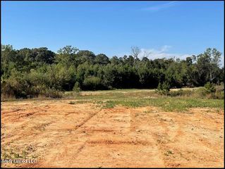 00 Greens Crossing Road, Ridgeland, MS 39157