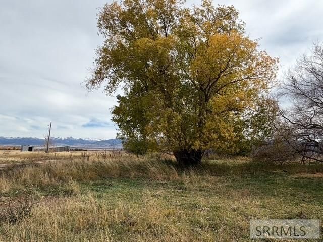 2255 S 5000 W, Driggs, ID 83422