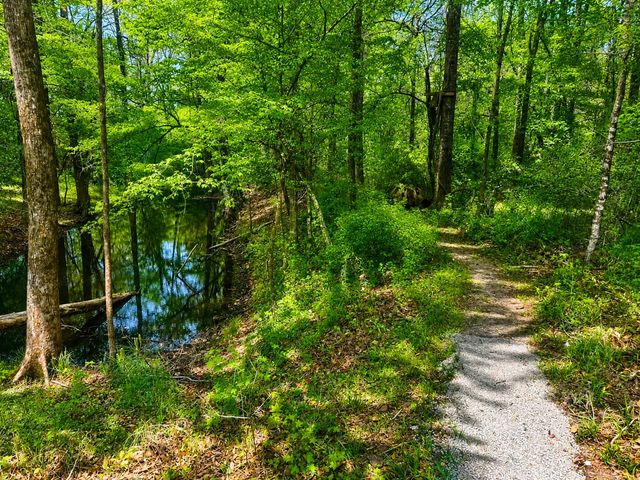 117 Loon Drive, Summerville, SC 29483