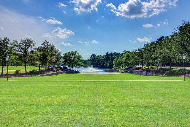 117 Loon Drive, Summerville, SC 29483