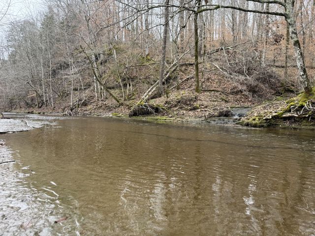 5 N Lick Creek Rd, Franklin, TN 37064