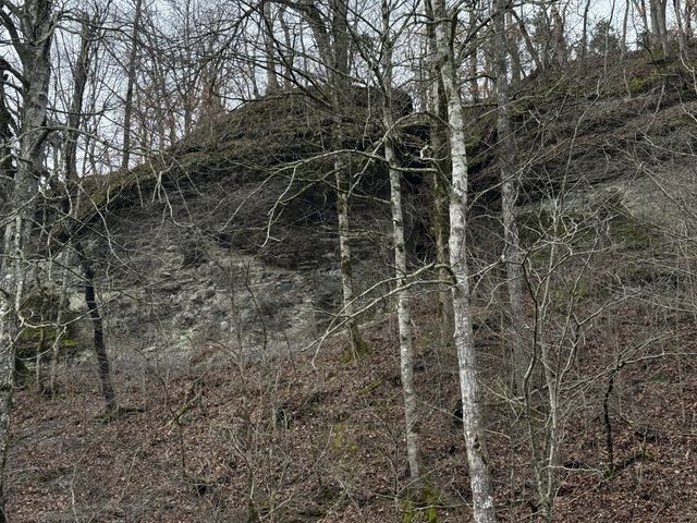 5 N Lick Creek Rd, Franklin, TN 37064