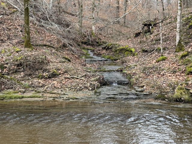 5 N Lick Creek Rd, Franklin, TN 37064