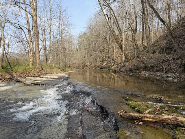 5 N Lick Creek Rd, Franklin, TN 37064