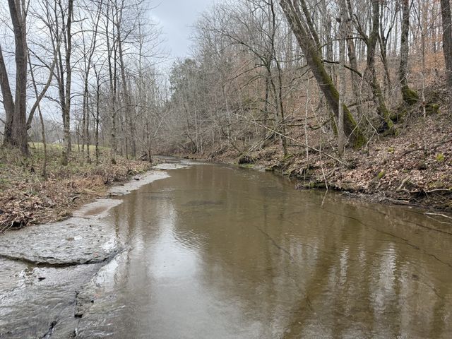 5 N Lick Creek Rd, Franklin, TN 37064